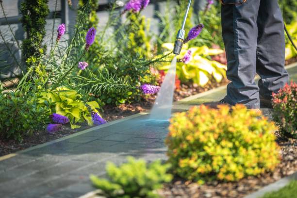 Best Boat and Dock Cleaning  in Windsor, VA